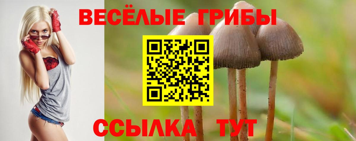 Строитель  Галлюциногенные грибы Cubensis  Вход с VPN  Галлюциногенные грибы прущие грибы 